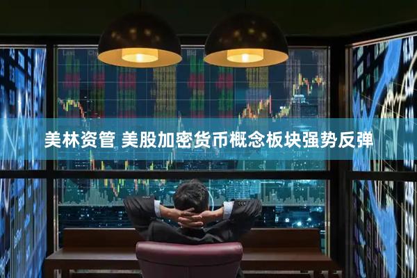 美林资管 美股加密货币概念板块强势反弹