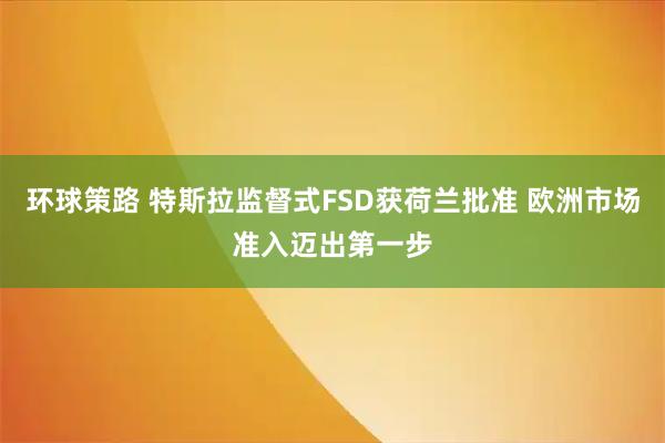 环球策路 特斯拉监督式FSD获荷兰批准 欧洲市场准入迈出第一步