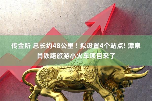 传金所 总长约48公里 ! 拟设置4个站点! 漳泉肖铁路旅游小火车项目来了