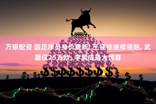 万银配资 国足球员身价更新! 王钰栋继续领跑, 武磊仅25万欧, 李昊成最大惊喜